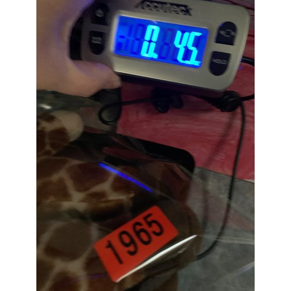 Giraffe 8 inch plush from Go Retail Group Brown Cream with brown feet & mane - Picture 12 of 12